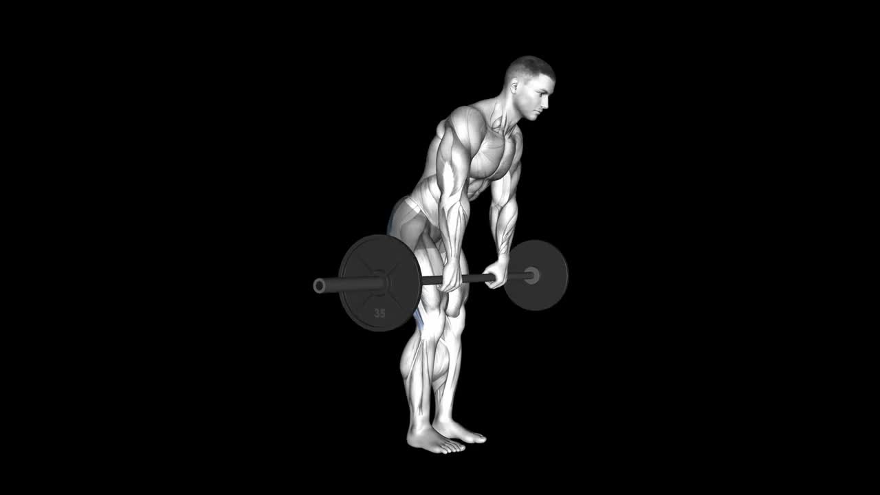 Stiff Legged Barbell Deadlift How To Video, Alternatives & More