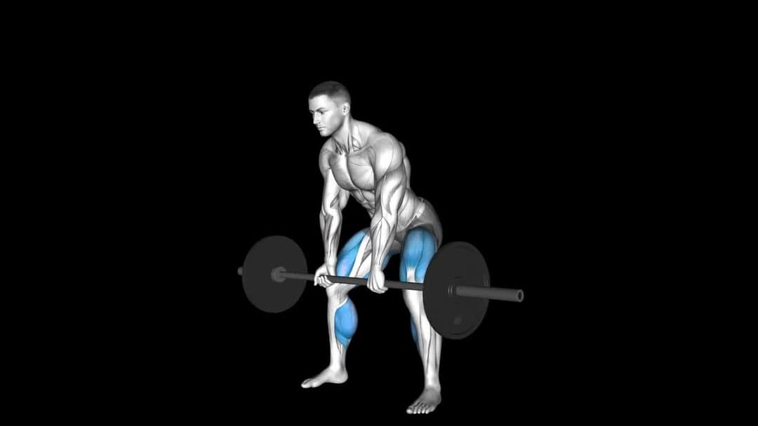 Barbell Sumo Deadlift How To Video, Alternatives & More