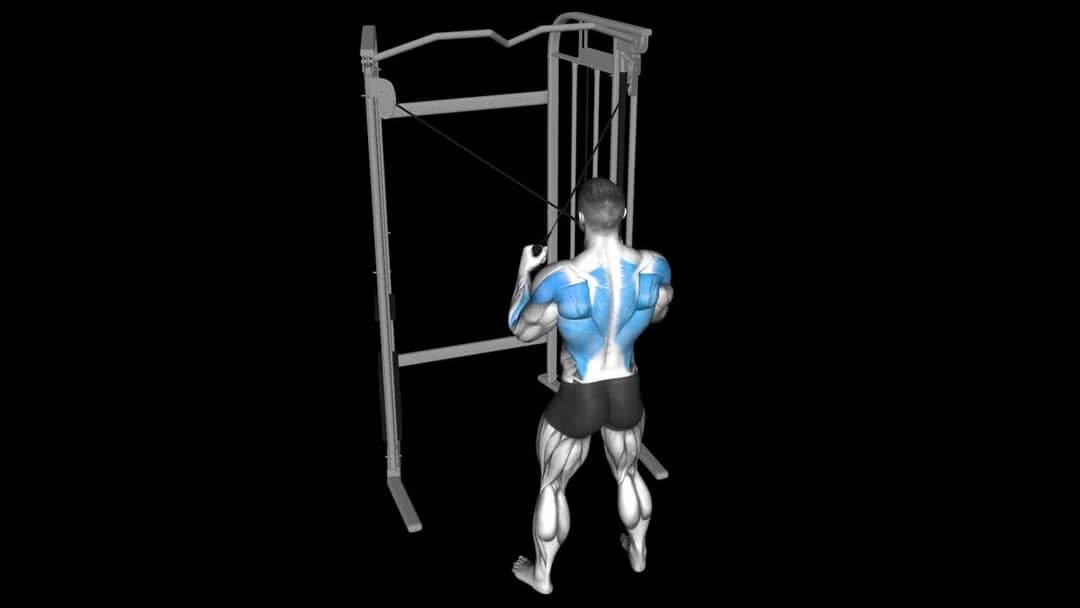 Close Grip Lat Pulldown How To Video, Alternatives & More