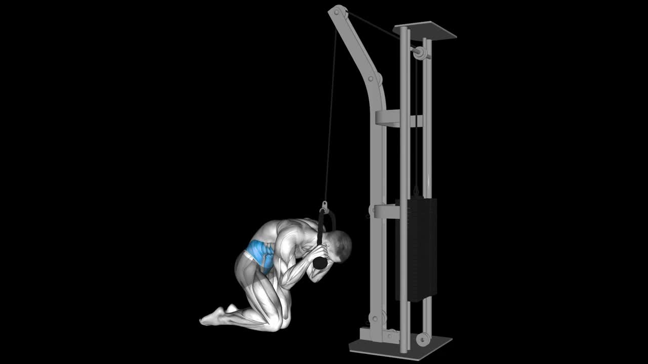 Cable Seated Crunch How To Video, Alternatives & More