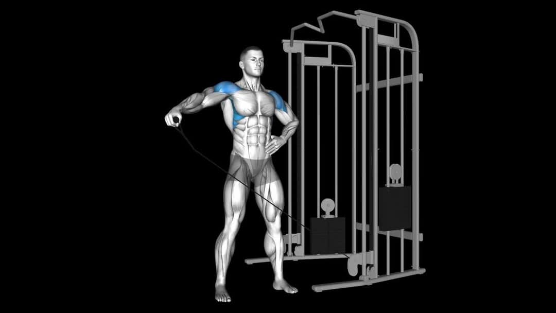 Cable Lateral Raise How To Video, Alternatives & More