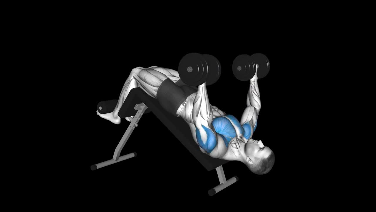 Decline Dumbbell Chest Fly – How To Video, Alternatives & More