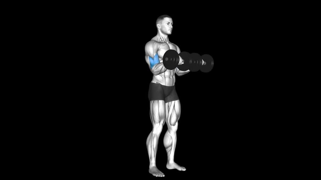 Cable Rope Curl How To Video, Alternatives & More