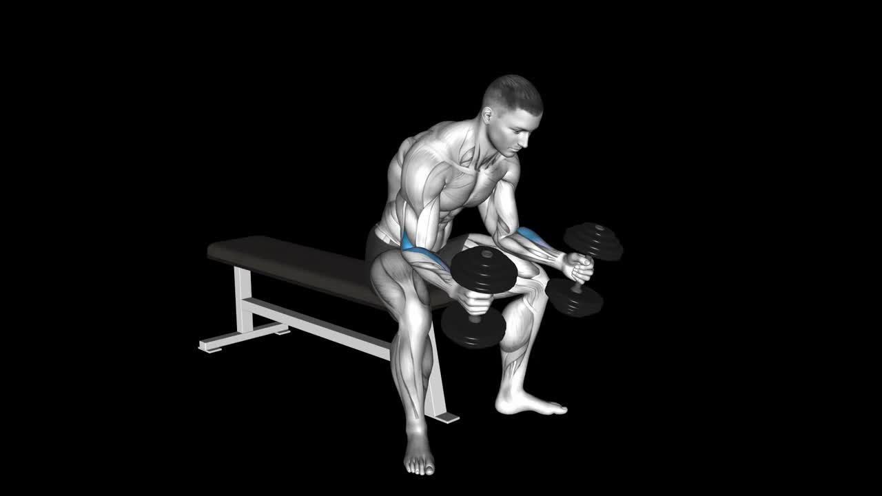 Seated Hammer Wrist Curl How To Video, Alternatives & More