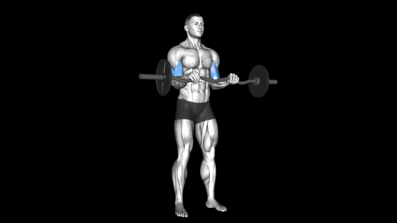 Barbell Curl How To Video, Alternatives & More
