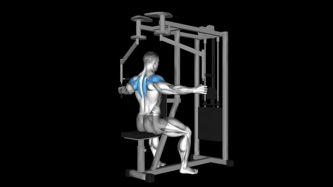 Cable Crossover Reverse Fly How To Video, Alternatives & More