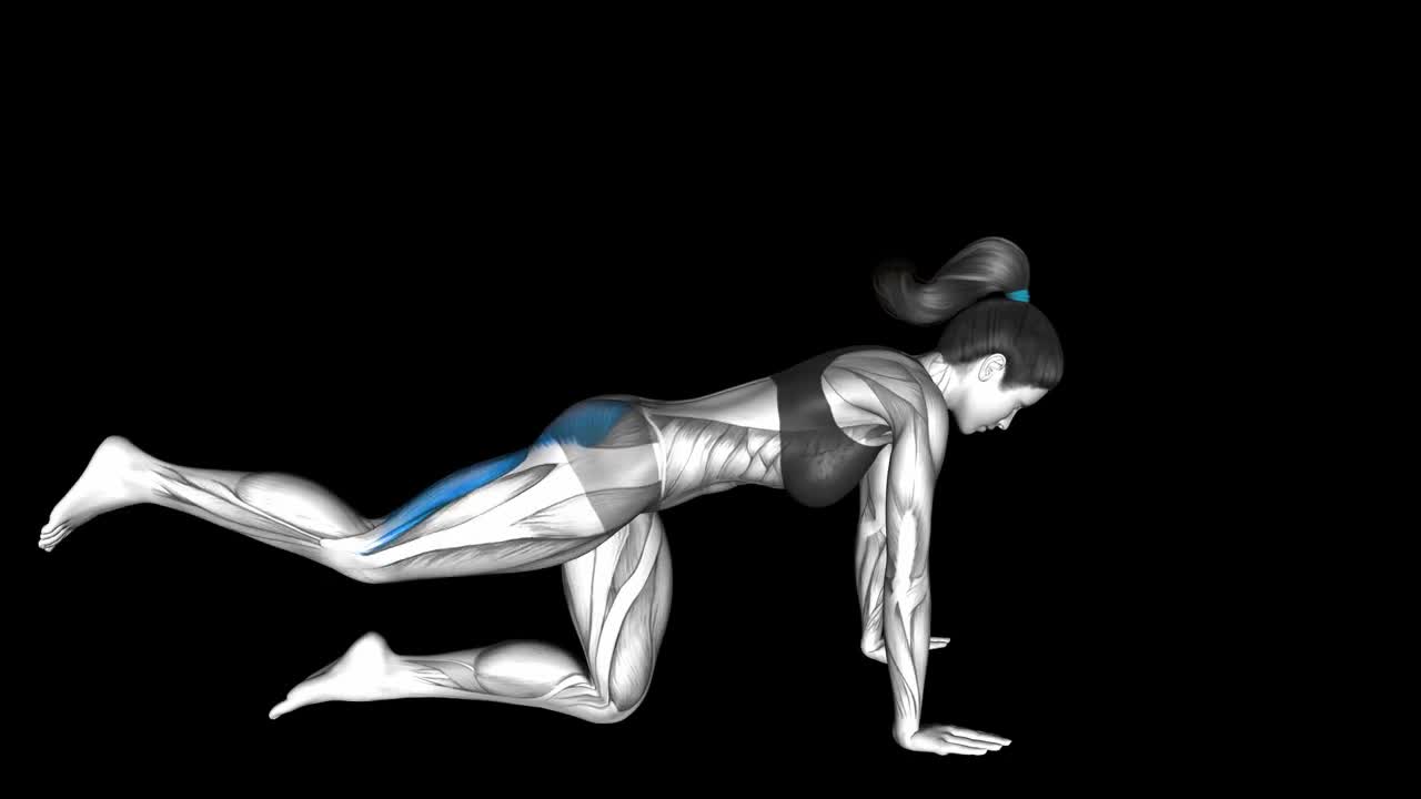 Lying Leg Curl How To Video, Alternatives & More