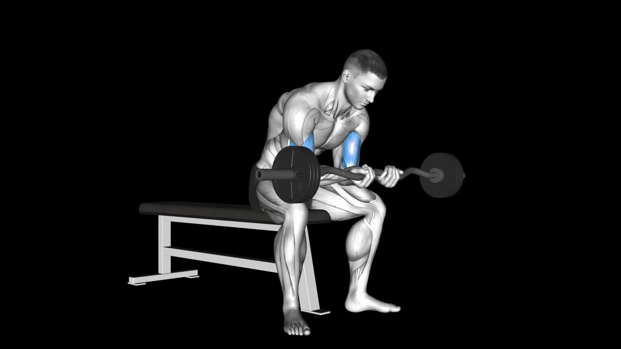 EZ Bar Concentration Curl How To Video, Alternatives & More