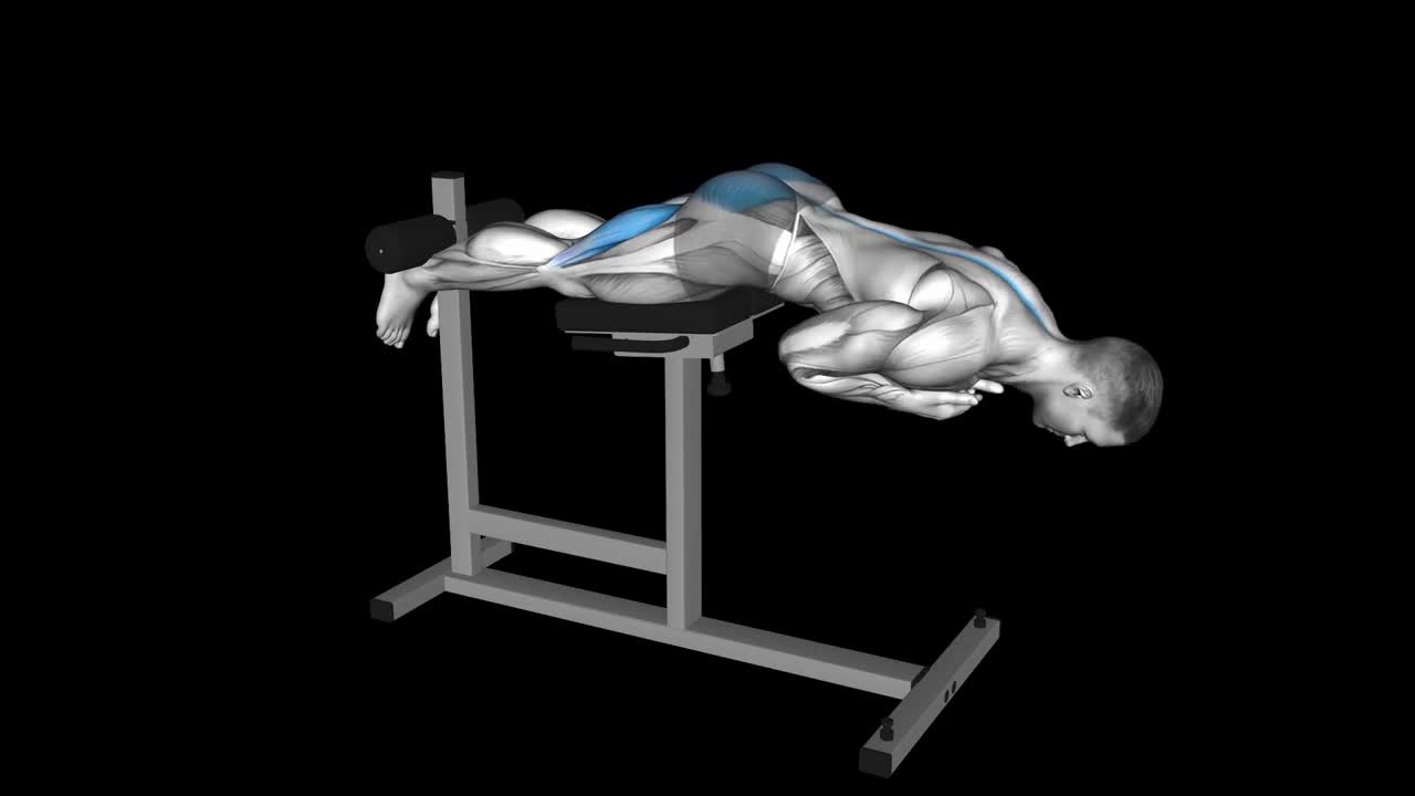 Cable Hip Extension How To Video, Alternatives & More