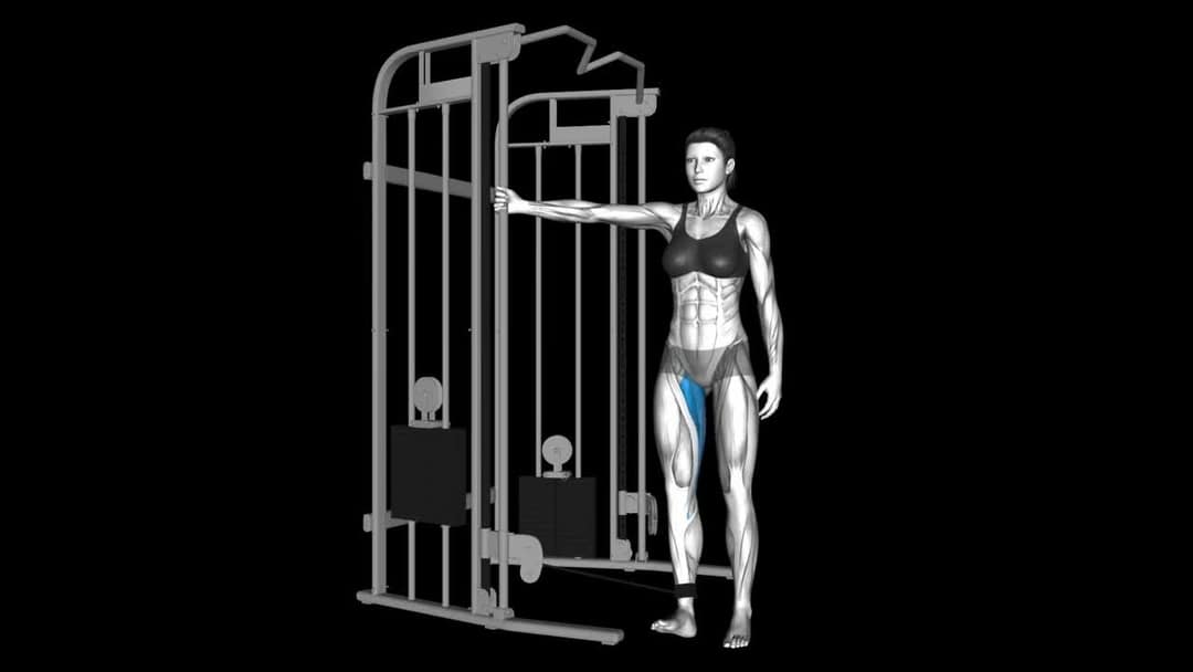 Cable Hip Adduction How To Video, Alternatives & More