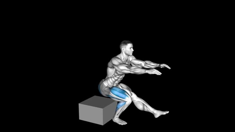 Single Leg Stability Ball Squat – How To Video, Alternatives & More