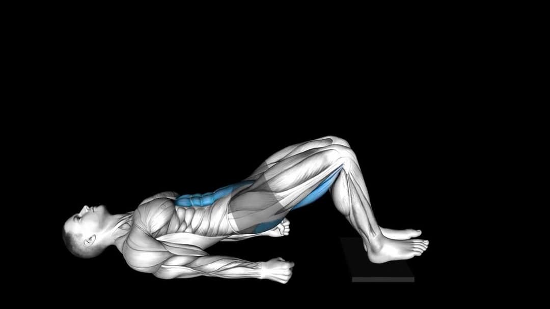 Sliding Floor Bridge Curl – How To Video, Alternatives & More