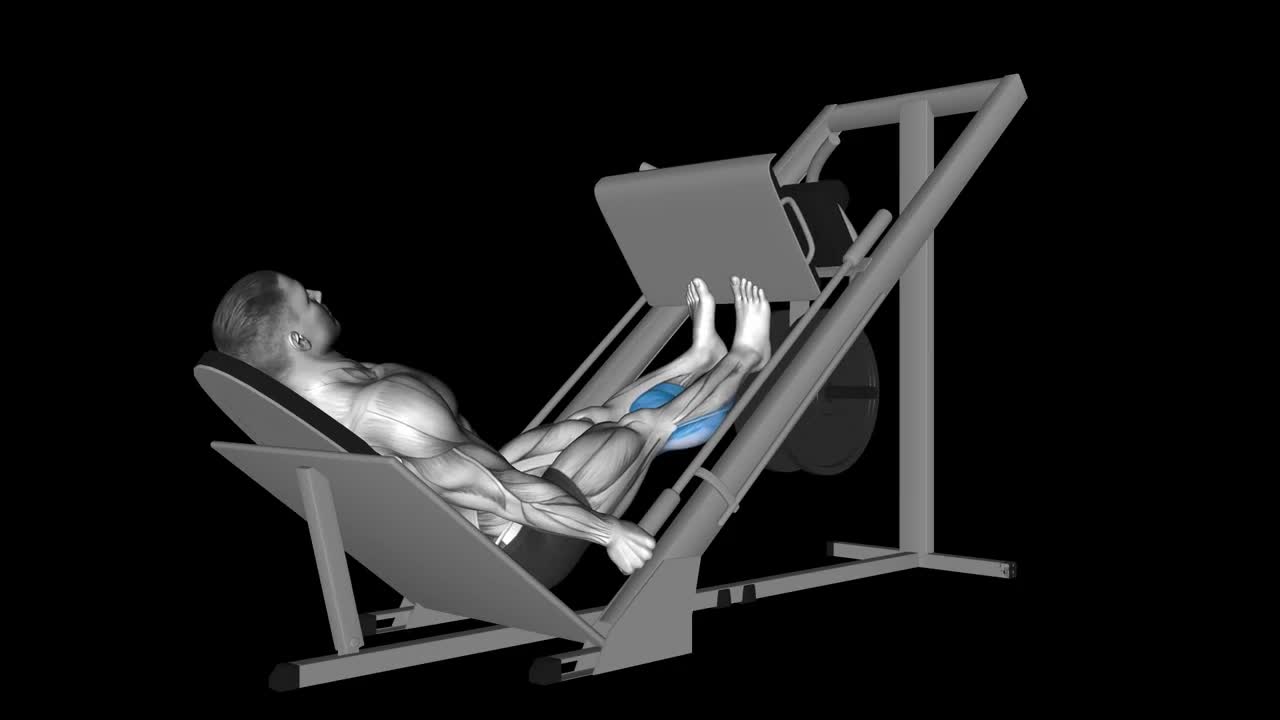 Leg Press Calf Raise How To Video, Alternatives & More