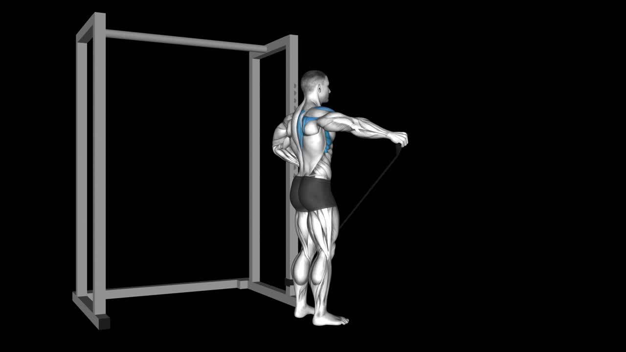 Lateral Raise How To Video, Alternatives & More