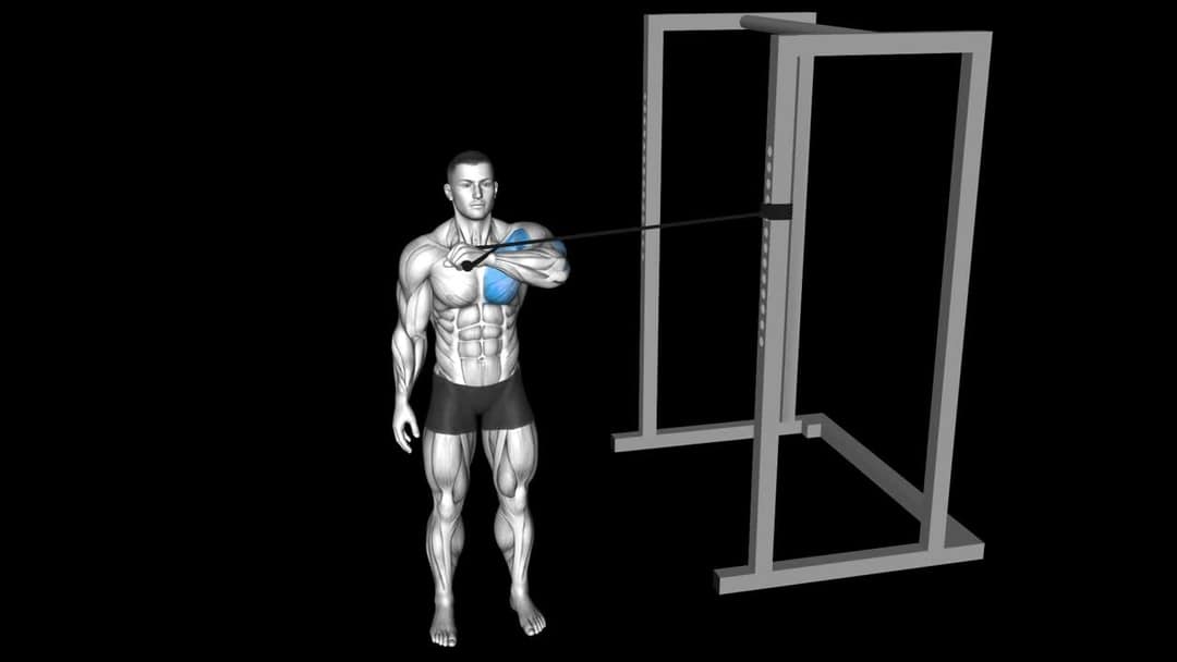 Band Chest Press – How To Video, Alternatives & More