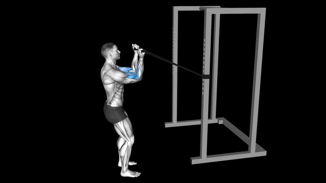 One Arm Cable Curl How To Video, Alternatives & More