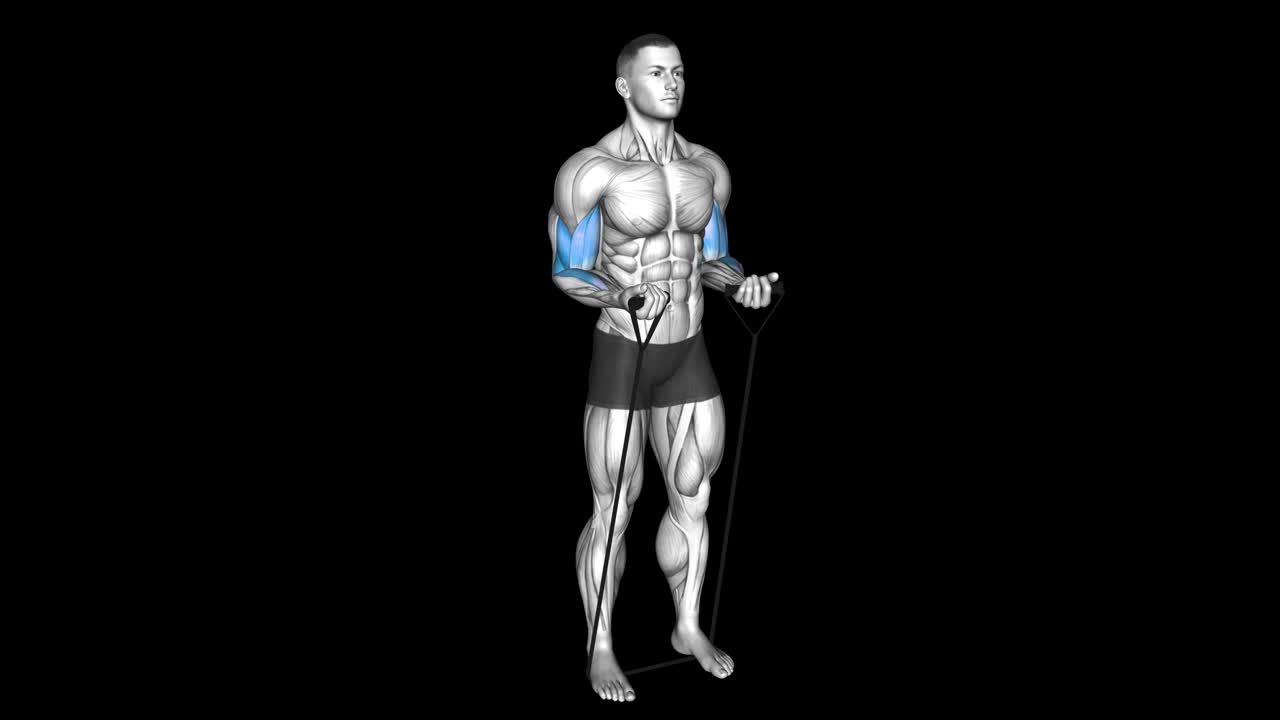 Cable Curl With Lat Bar How To Video, Alternatives & More