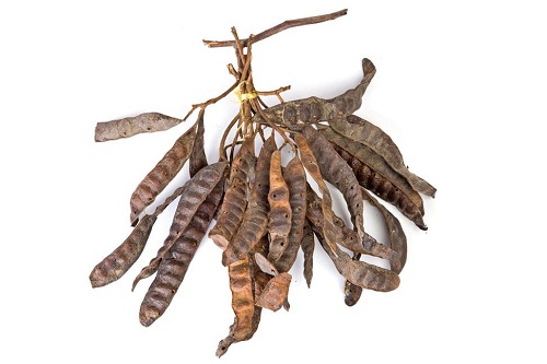 Bồ kết mua ở đâu TPHCM