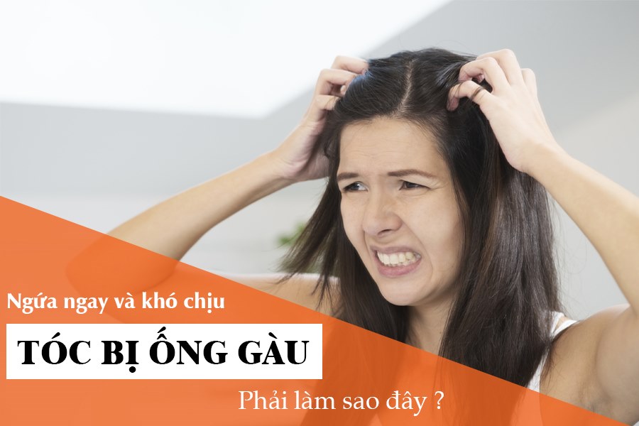 bị gàu ống