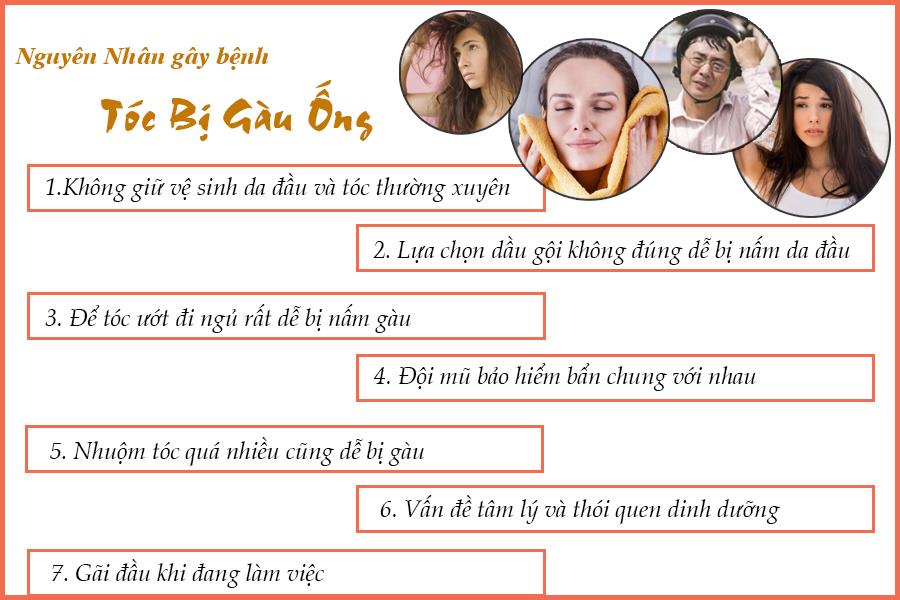 nguyên nhân bị gàu ống