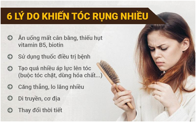Tóc mọc thưa ở đỉnh đầu do đâu