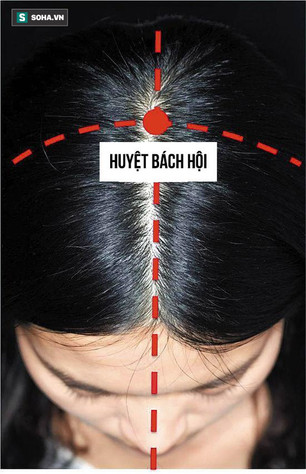 bậm huyệt bách hội giúp mọc tóc