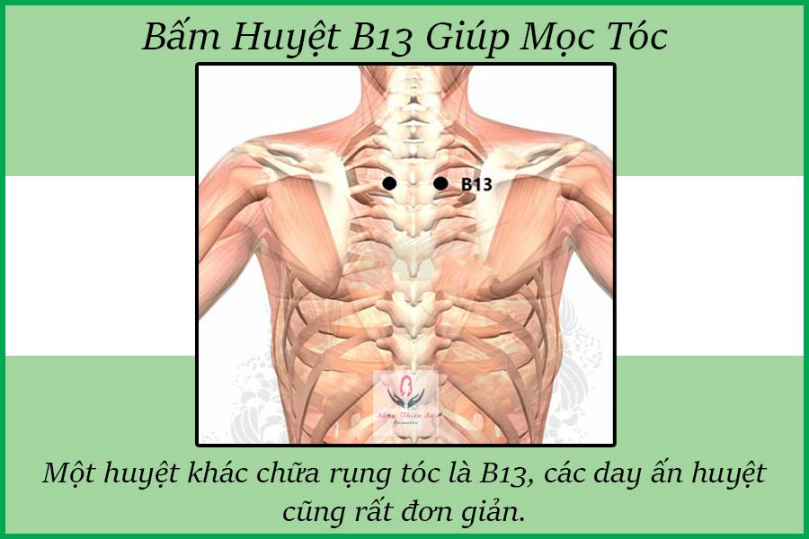Bấm Huyệt B13 cải thiện tóc