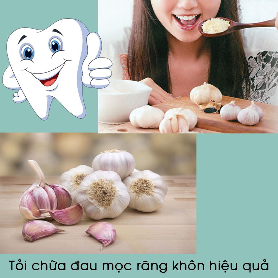 tỏi trị đau răng khôn