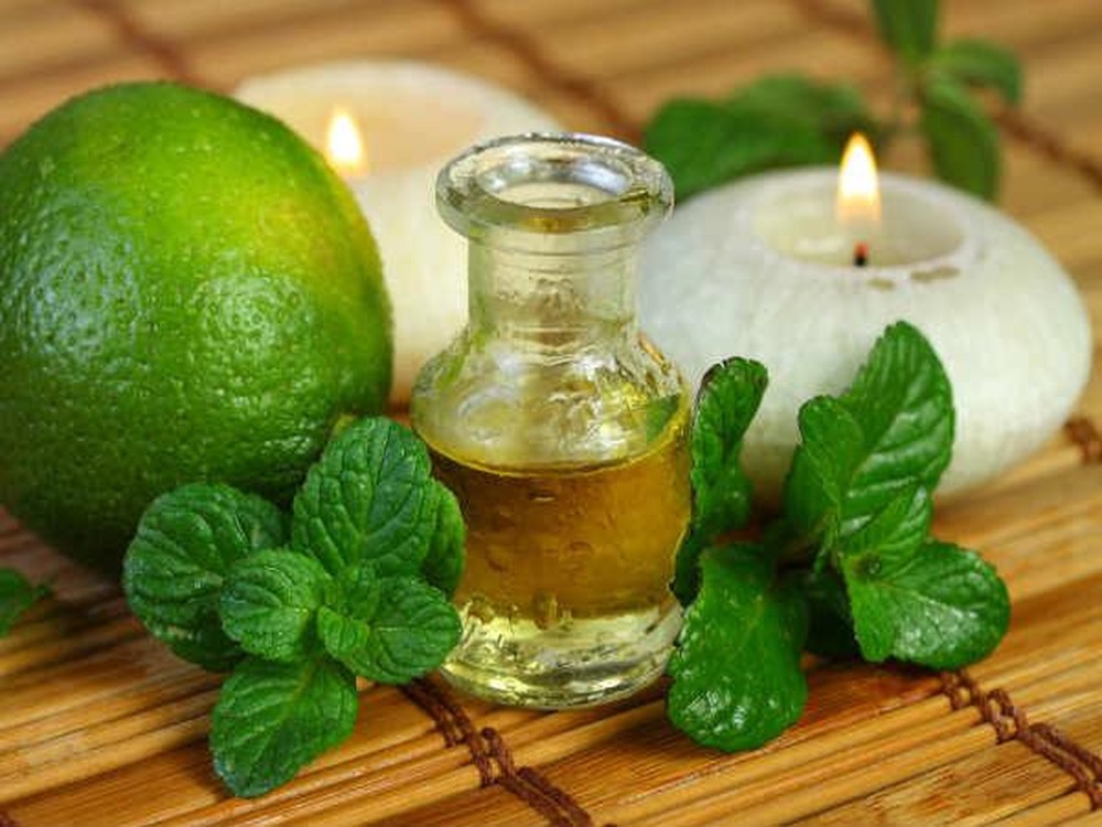 lá bạc hả trị đau răng khôn