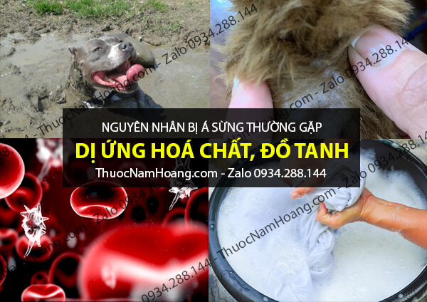 nguyên nhân bị á sừng khi mang thai