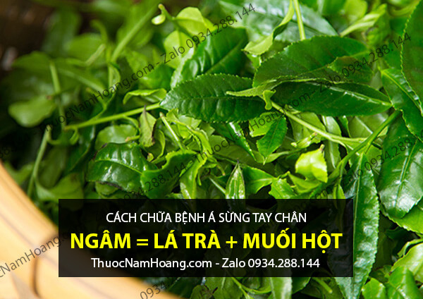 cách chữa bệnh á sừng ở chân bằng lá trà xanh và muối hột