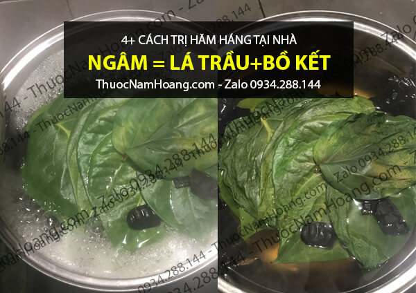 cách điều trị hăm háng ở người lớn bằng bồ kết và lá trầu