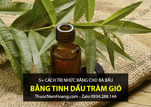 cách trị nhức răng cho bà bầu bằng tinh dầu tràm