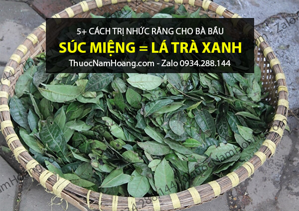 dùng lá trà xanh khi nhức răng ở bà bầu