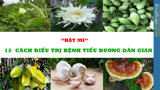 bài thuốc dân gian chữa tiểu đường