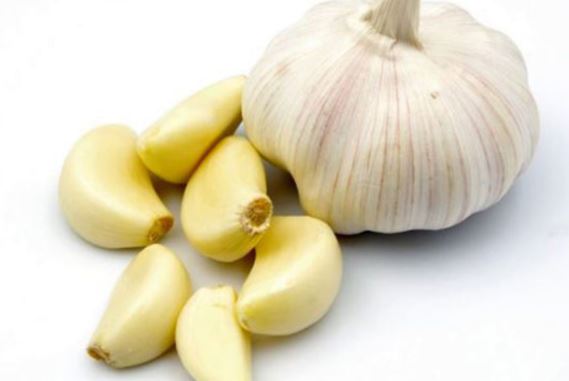 chữa tiểu đường bằng tỏi