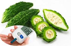 mướp đắng chữa tiểu đường