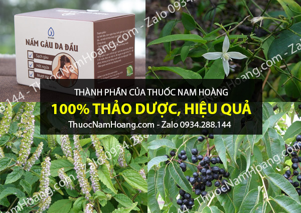thuốc trị gàu và rụng tóc nam hoàng