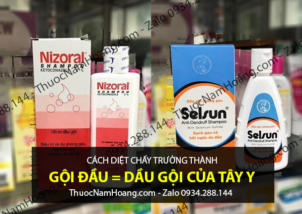 dầu gội trị gàu cho nam