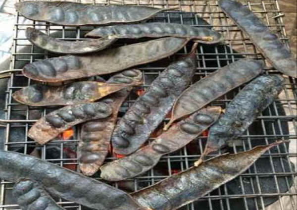 bài thuốc chữa viêm xoang trán bằng bồ kết