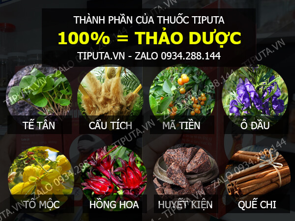 thuốc giảm đau cơ xương khớp TIPUTA