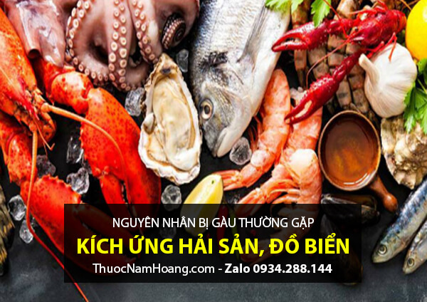 nguyên nhân gây ra gàu