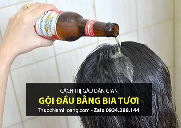 cách trị gàu bằng bia