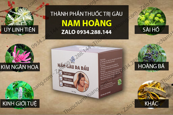 thành phần thuốc đặc trị gàu ướt nam hoàng