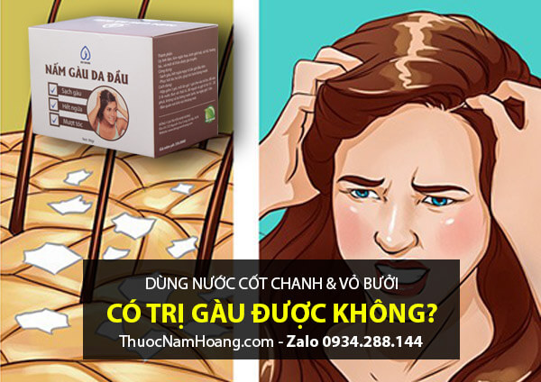 chanh có trị gàu được không