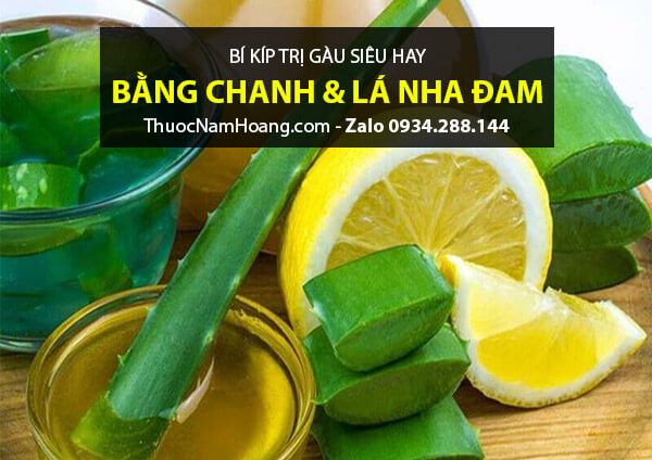 Cách gội đầu trị gàu bằng chanh và nha đam