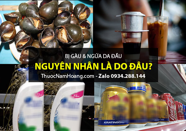 nguyên nhân gây ra gàu ngứa da đầu
