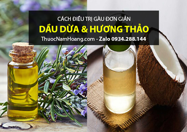 Cách gội đầu sạch gàu bằng dầu dừa và hương thảo cho da nhạy cảm