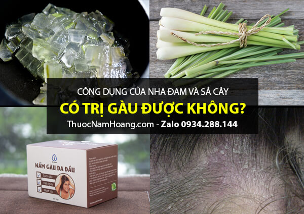 tác dụng trị gàu của nha đam và sả