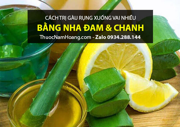 Phương pháp trị gàu bằng nha đam với chanh cho tóc dầu